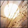 Spiritual Insights